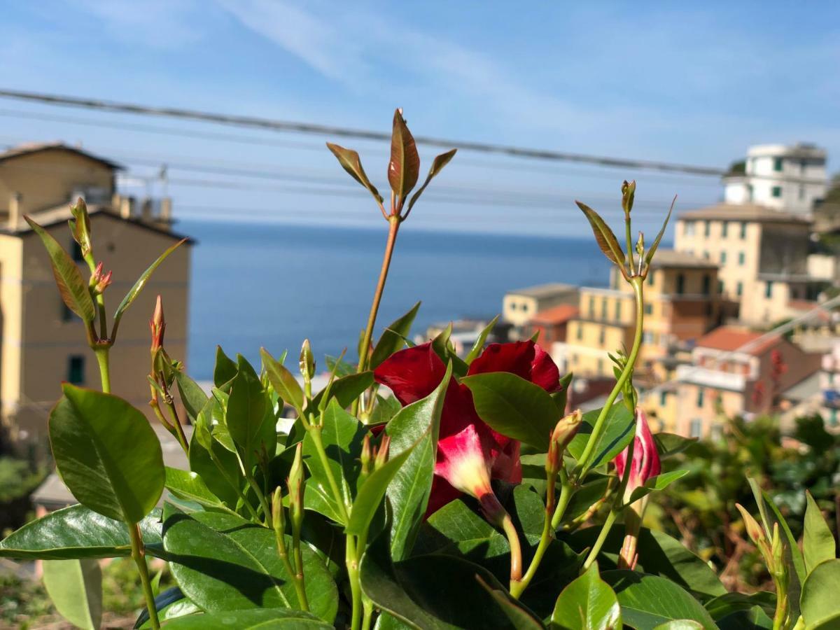 فندق Cinque Terre Coast To Coast ريوماجّوري المظهر الخارجي الصورة